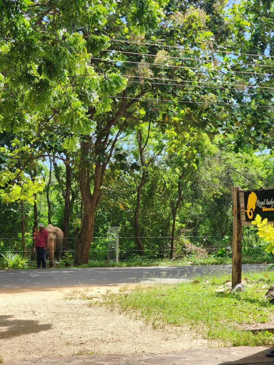 Royal Tusker Hotel Udawalawe Εξωτερικό φωτογραφία