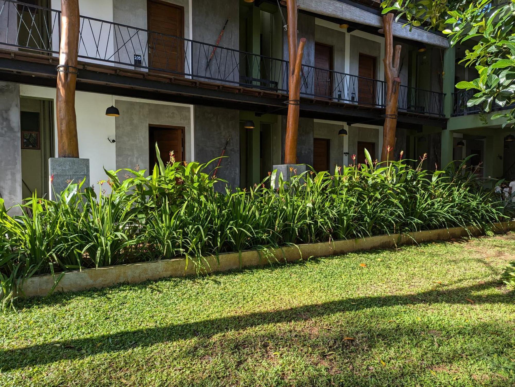 Royal Tusker Hotel Udawalawe Εξωτερικό φωτογραφία